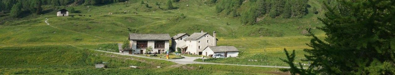 salecina – feminista!